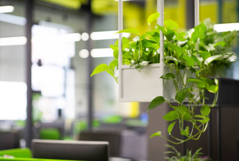 Groene Oases: Hoe Plantenbakken Je Ruimte Tot Leven Brengen